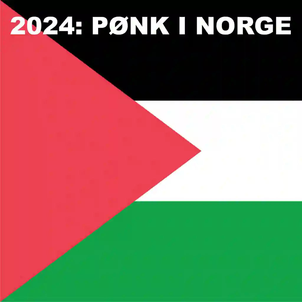 V/A - 2024: Pønk i Norge (LP)