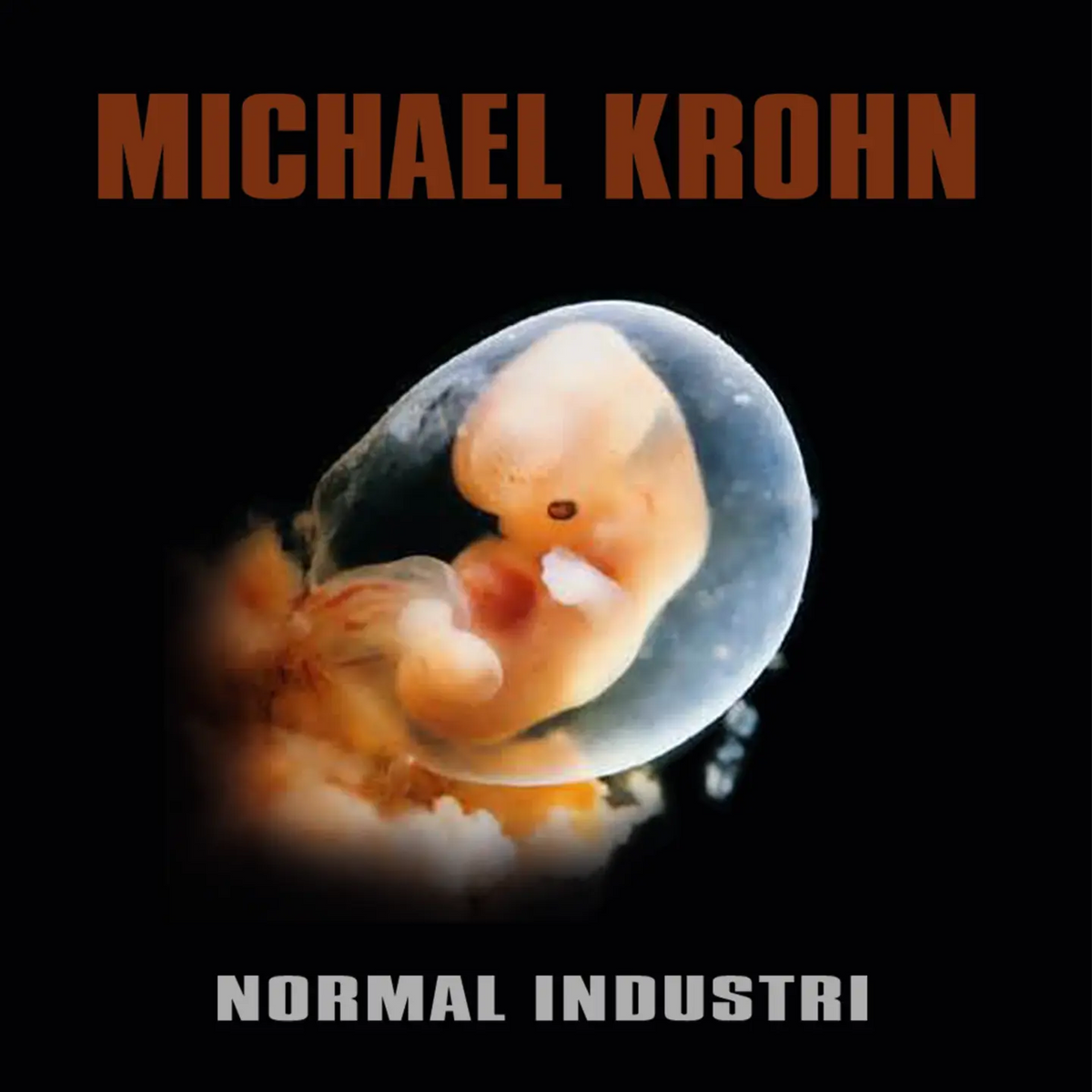 Michael Krohn - Normal Industri (LP)
